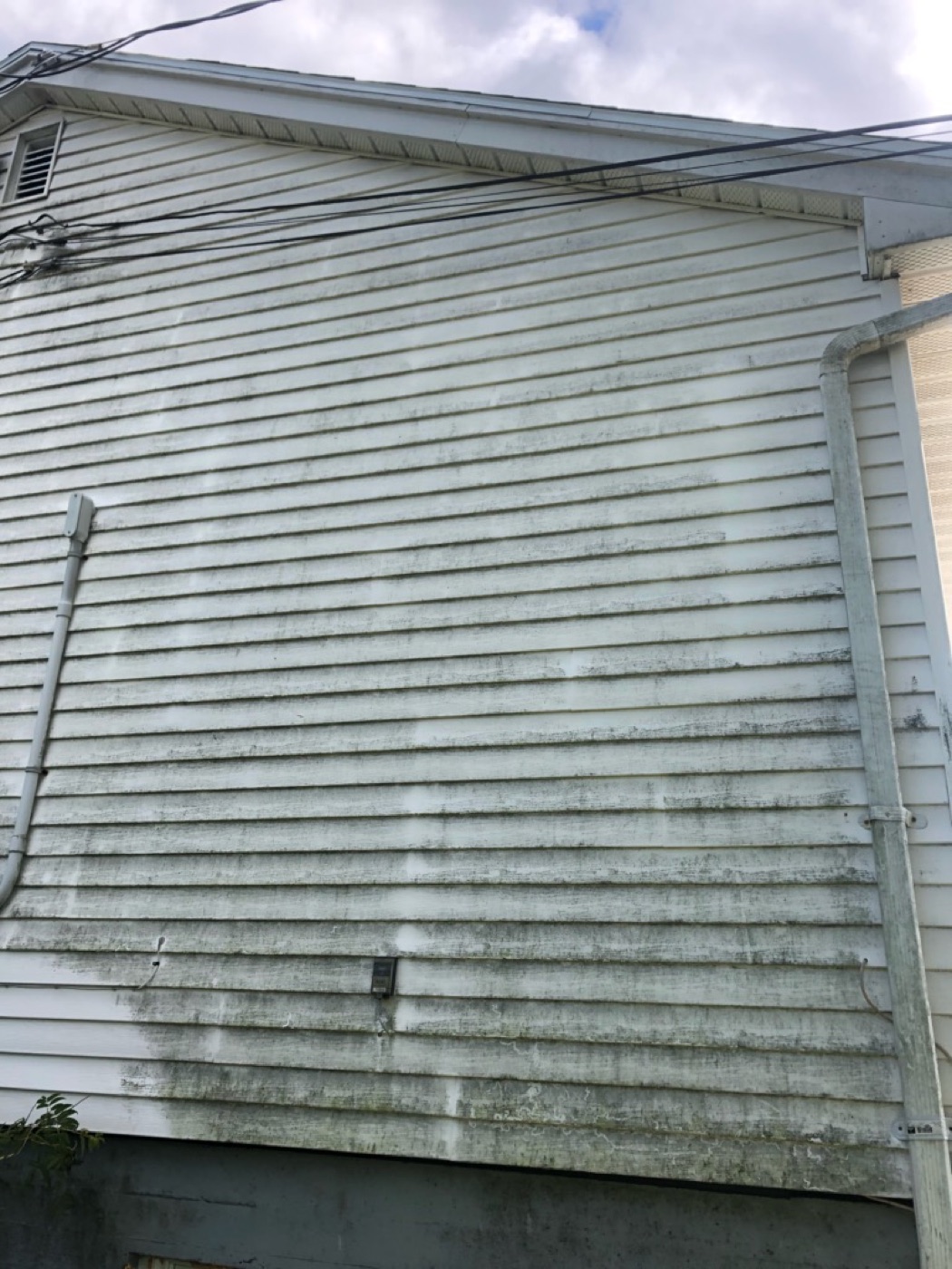 Heavily algae stained siding that needs soft washing rather than pressure